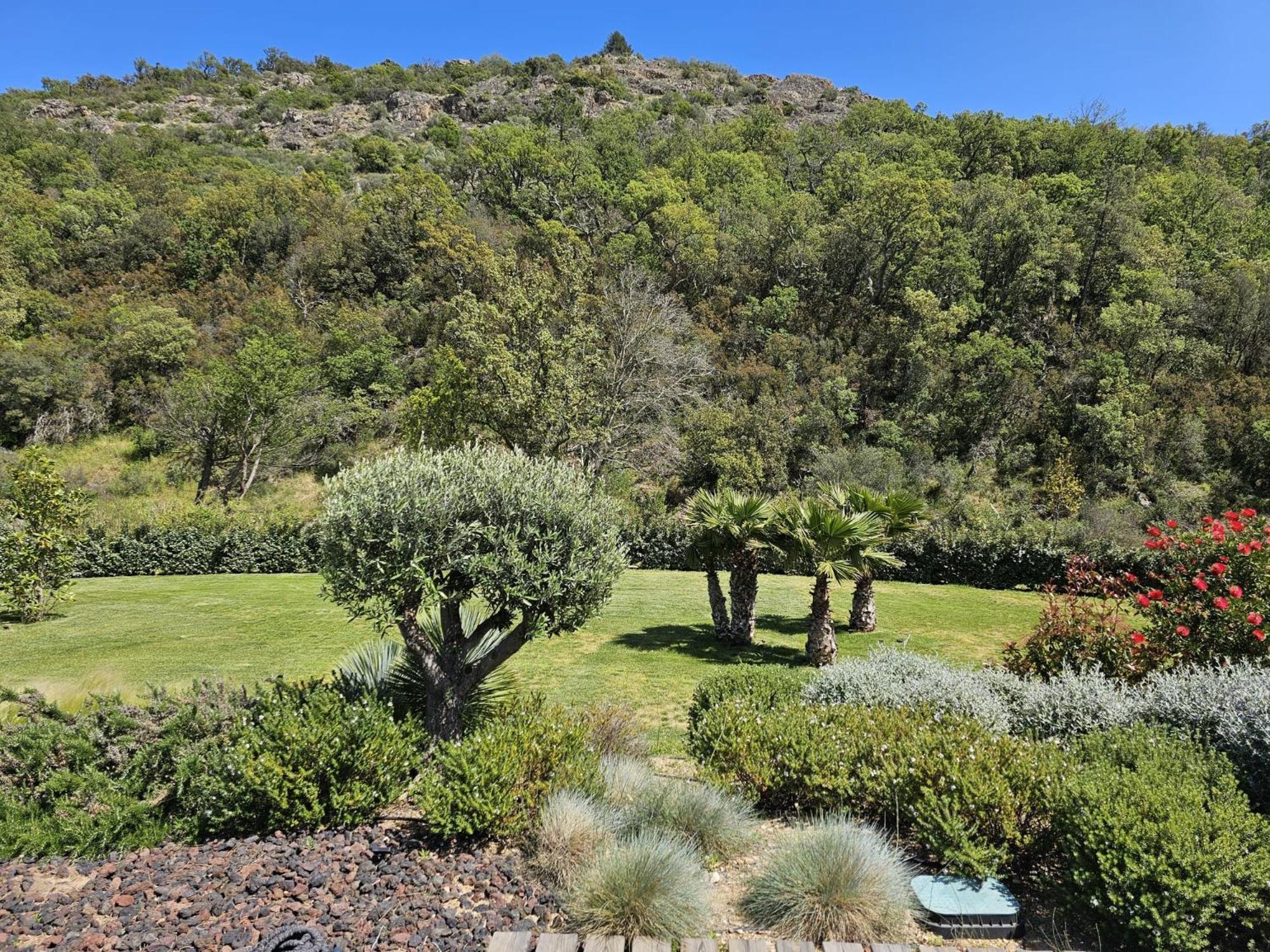 Villa Les Trois J Grimaud Εξωτερικό φωτογραφία